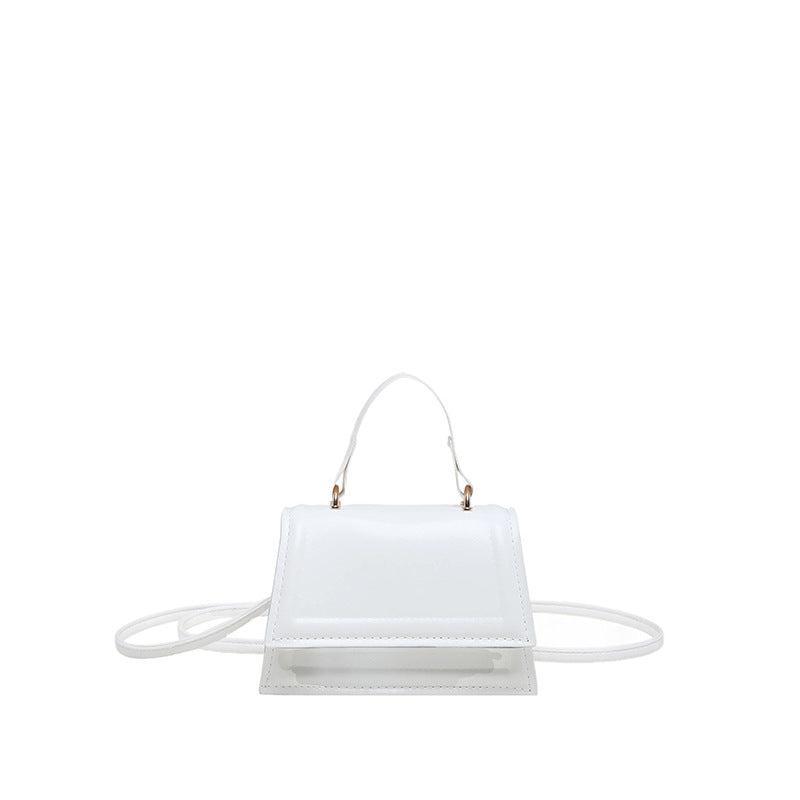 Chic Structured Mini Handbag