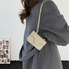 mini handbag with elegant quilted pattern and golden accents
