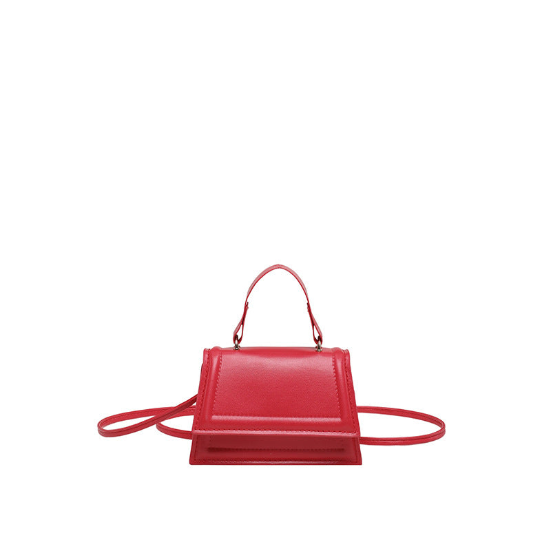 Chic Structured Mini Handbag