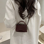 Ladies mini handbag with detachable carrying handle