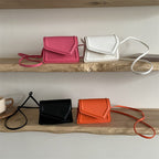 Ladies Mini Handbag with elegant flap closure technique
