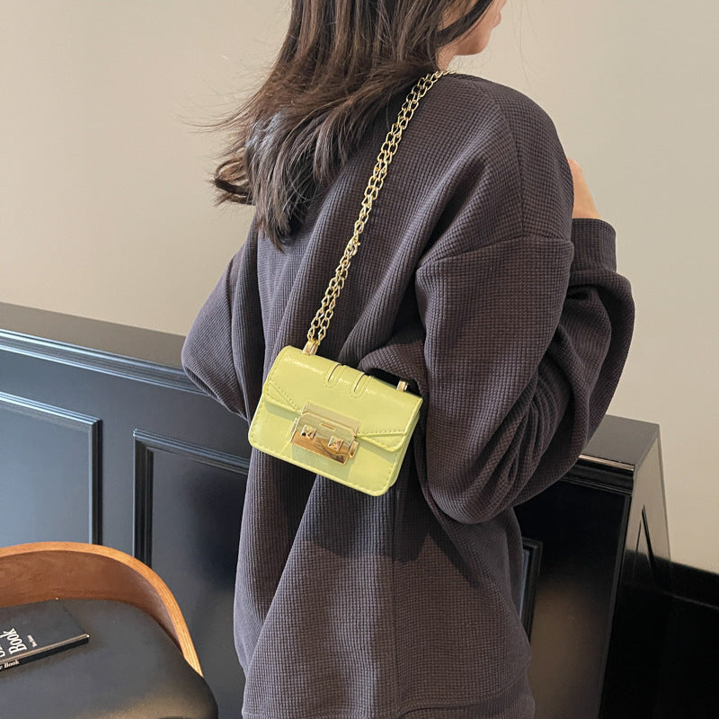elegant mini handbag with gold closure mechanism